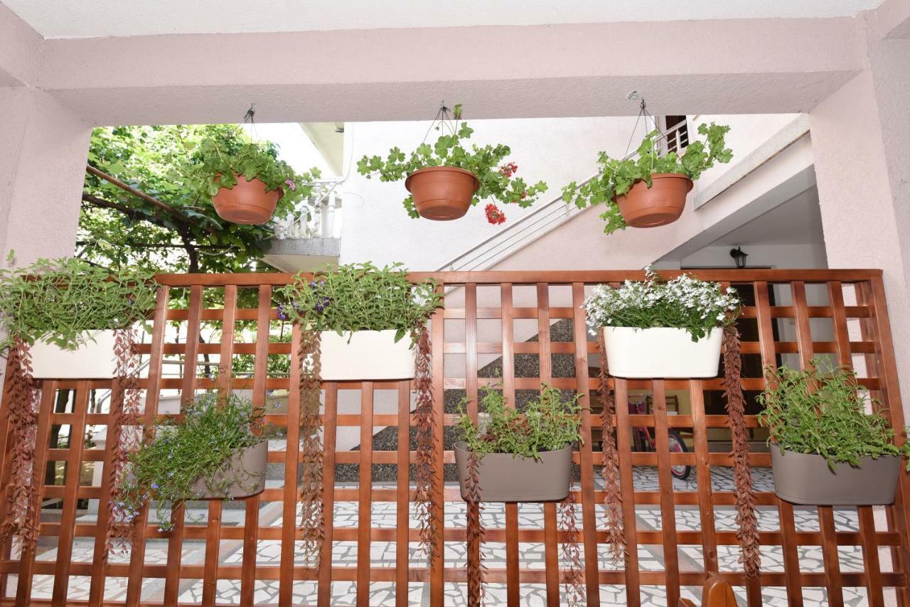 Guest House Zec Μπούντβα Εξωτερικό φωτογραφία