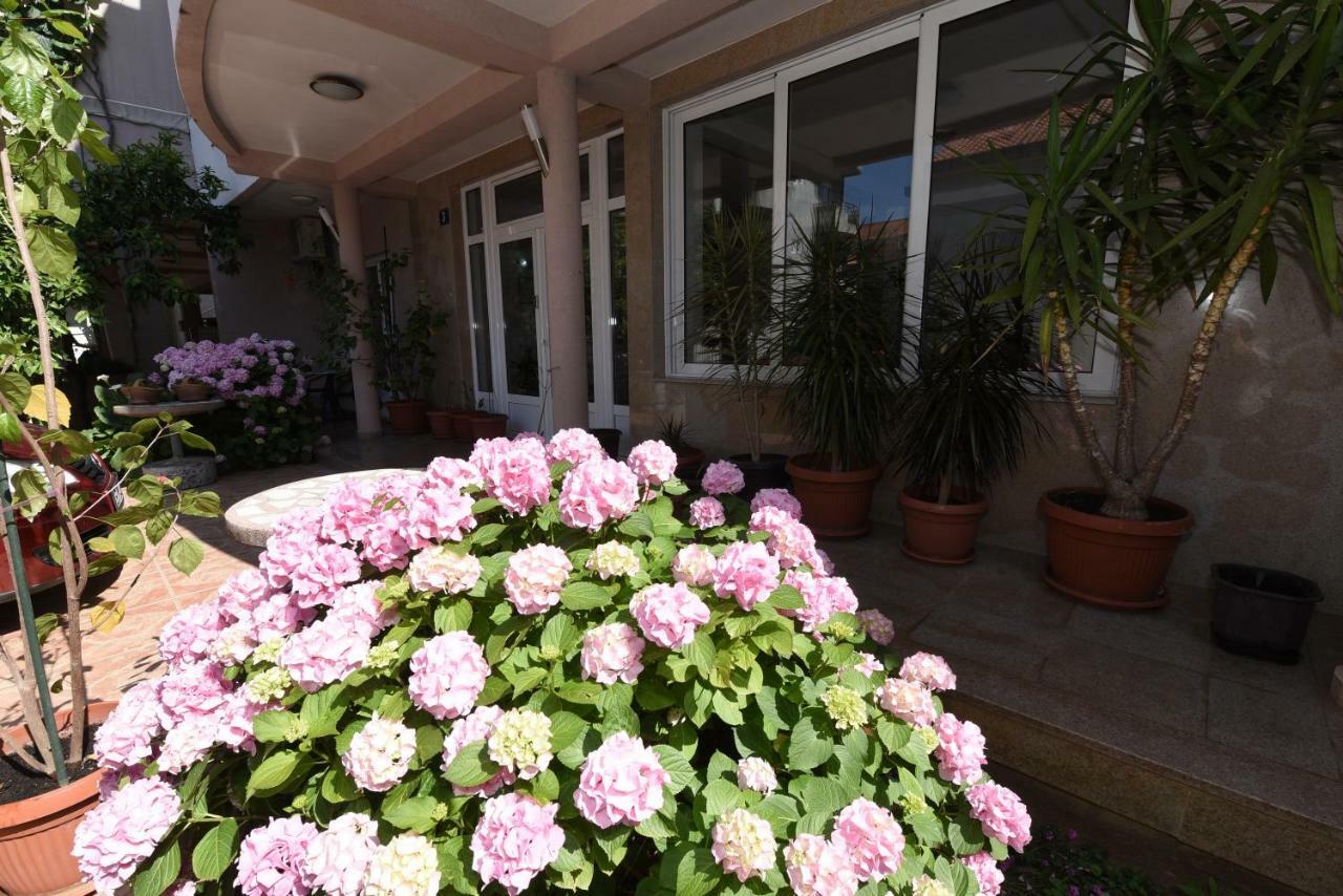 Guest House Zec Μπούντβα Εξωτερικό φωτογραφία